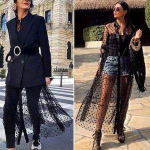 Zara polka dot sheer dress